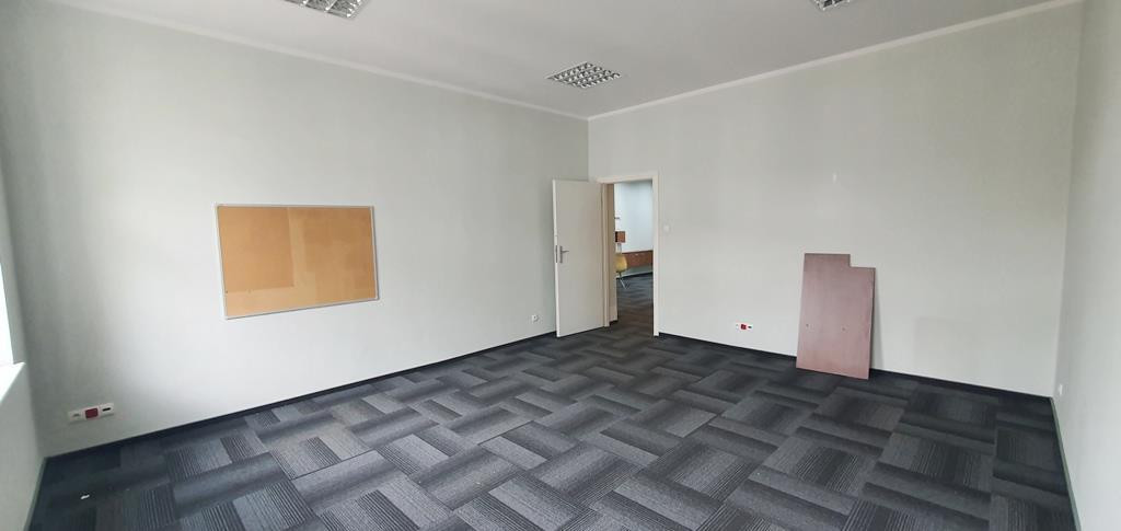 Lokal Wynajem Szczecin Centrum 13