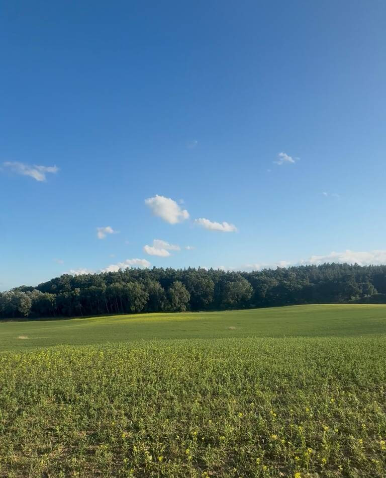 Działka Sprzedaż Buk 2