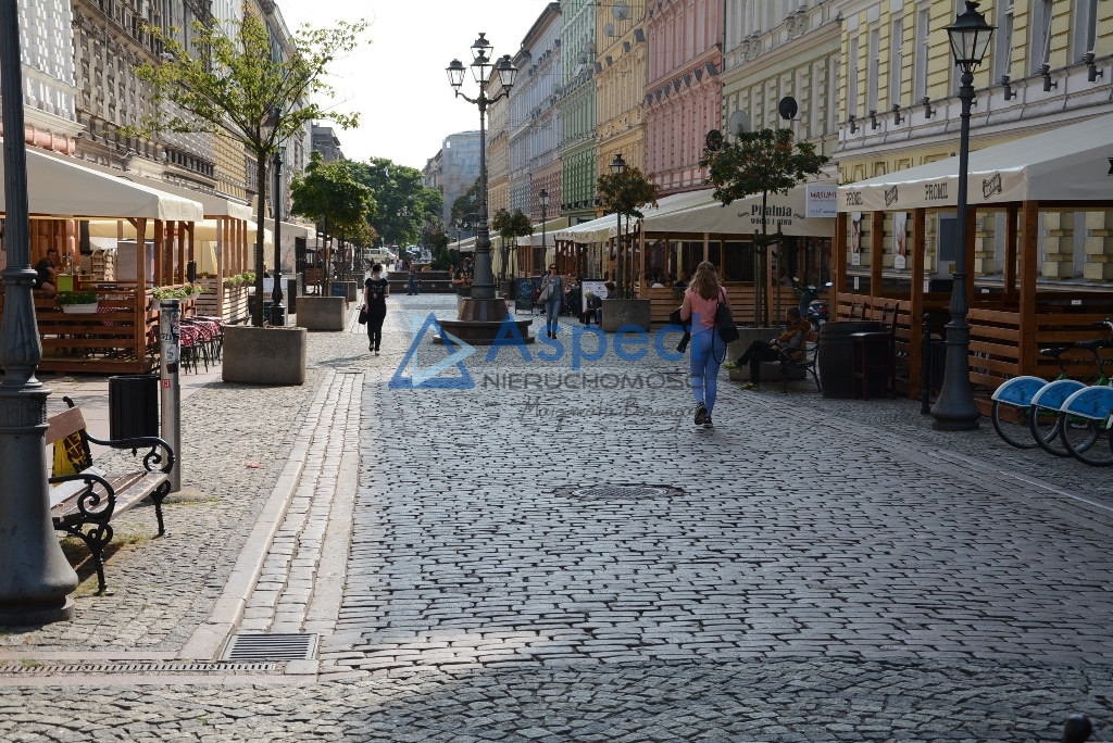 Lokal Wynajem Szczecin Centrum 8
